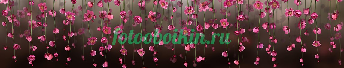 Ветки для кухни цветов