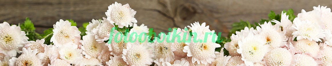Хризантемы для кухни