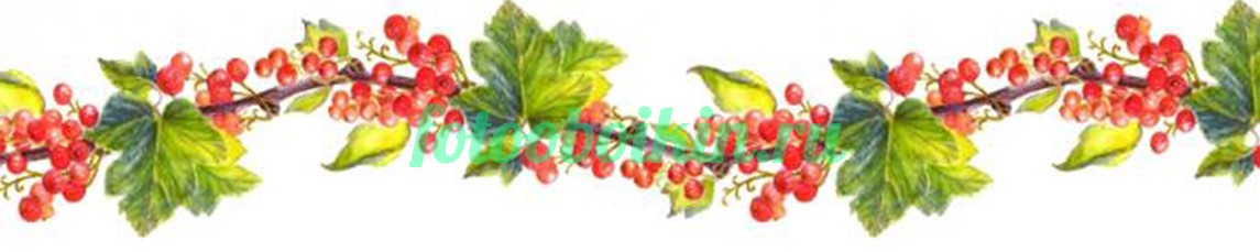 Красная для кухни смородина
