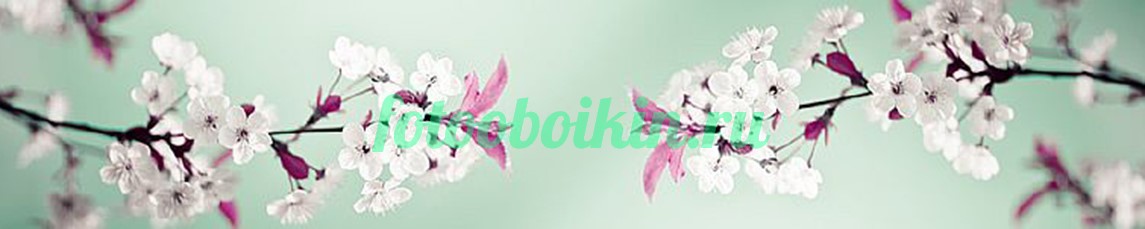 Ветки для кухни яблони