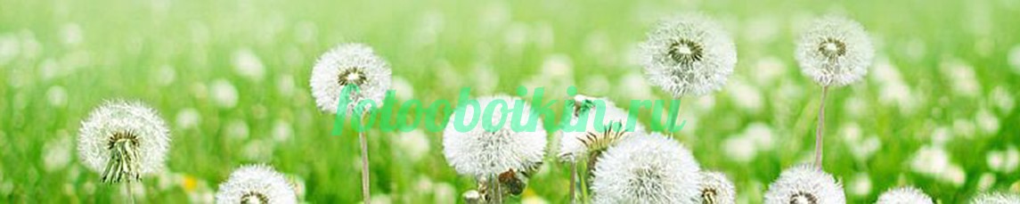 Пушистые для кухни одуванчики