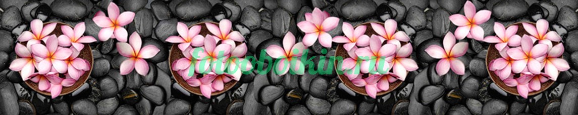Цветы для кухни на черных камнях