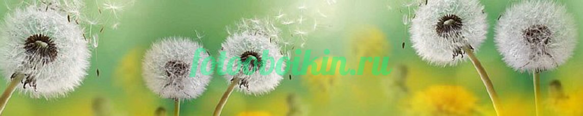 Одуванчики для кухни белые