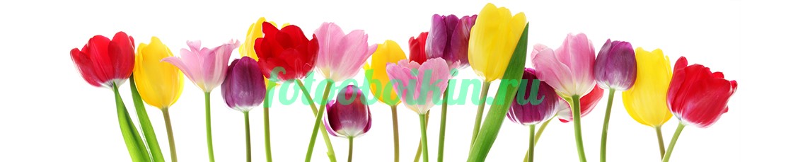 Весенние для кухни цветы тюльпаны