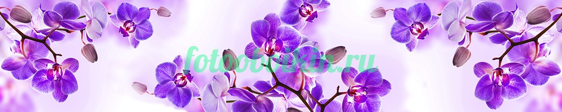 Фиолетовые для кухни орхидеи