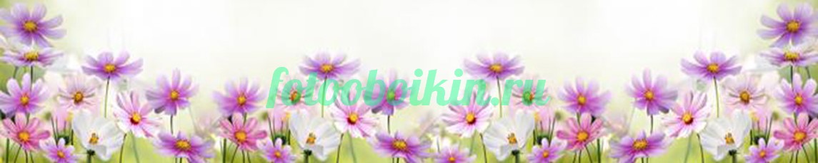 Цветы для кухни космеи