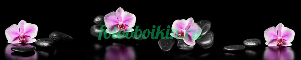 Орхидеи для кухни на черном фоне
