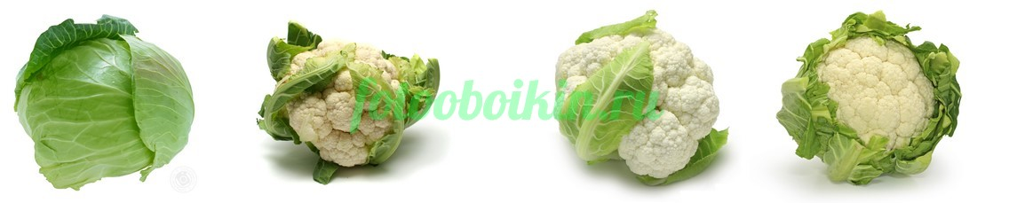 Фартук для кухни № 3029