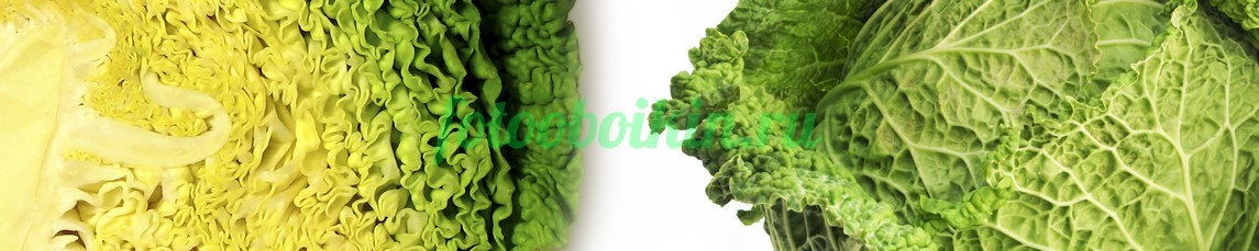 Фартук для кухни № 3030