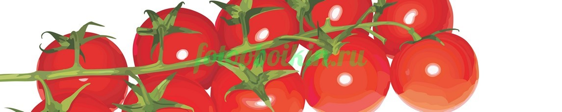 Фартук для кухни № 3125