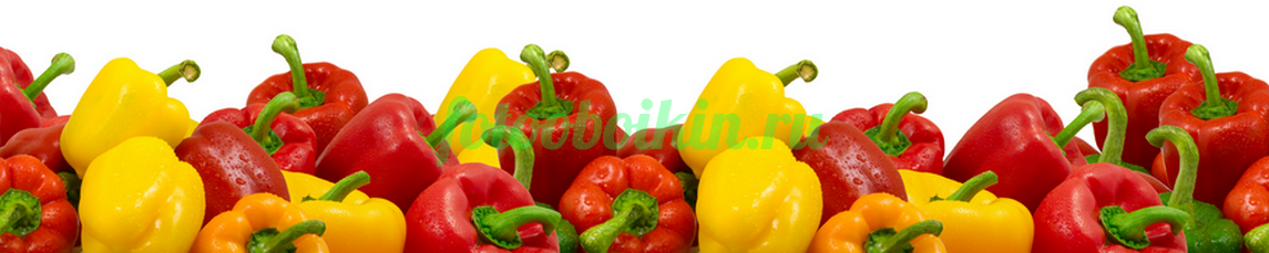 Фартук для кухни № 3131
