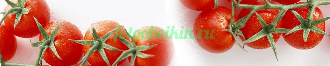 Фартук для кухни № 3134