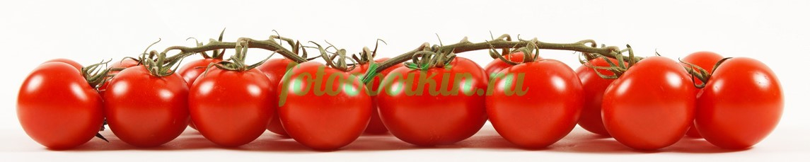 Фартук для кухни № 3135