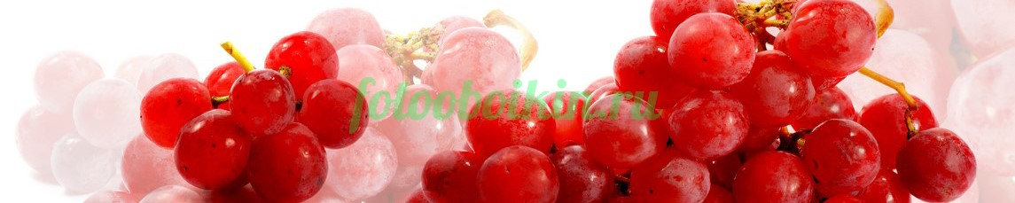 Фартук для кухни № 3161