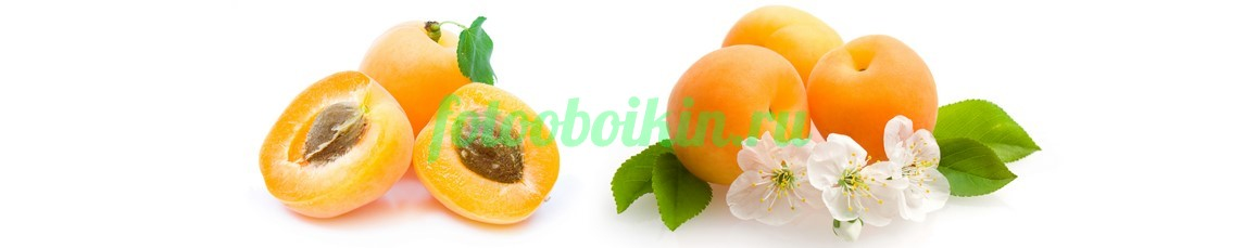 Фартук для кухни № 3168