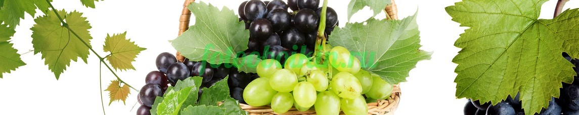 Фартук для кухни № 3172