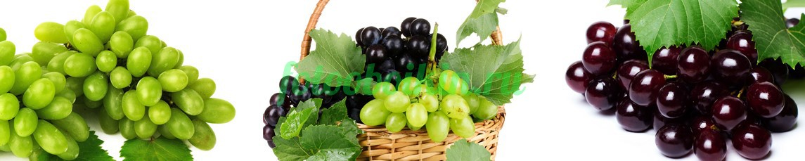 Фартук для кухни № 3174