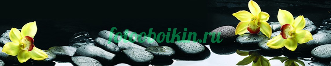 Желтые для кухни орхидеи на черном фоне