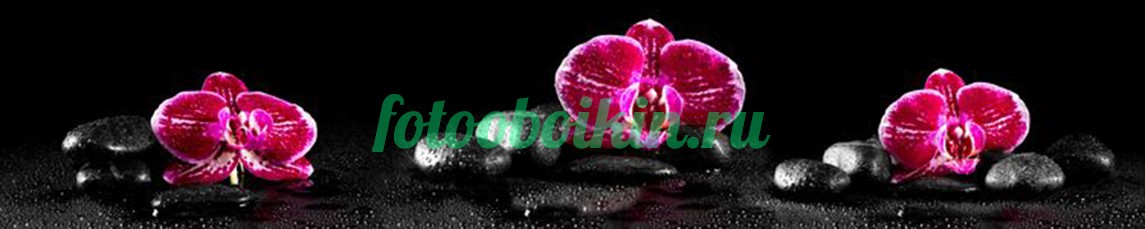 Орхидеи для кухни бордовые