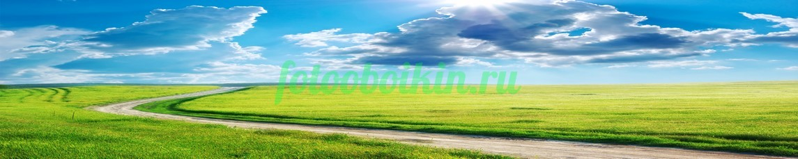 Фартук для кухни № 3539