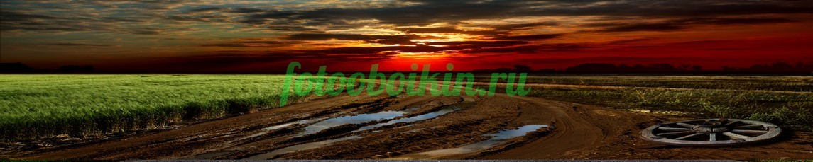 Фартук для кухни № 3540