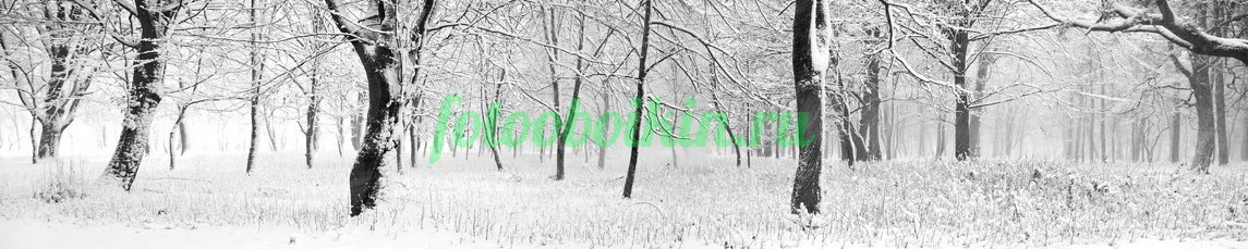 Фартук для кухни № 3541