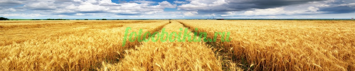 Фартук для кухни № 3545