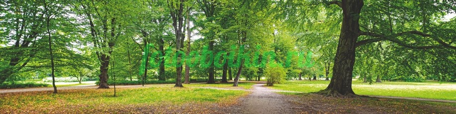 Фартук для кухни № 3546