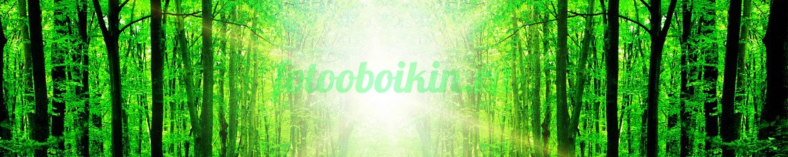 Фартук для кухни № 3547