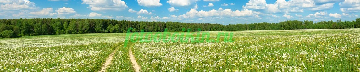 Фартук для кухни № 3548