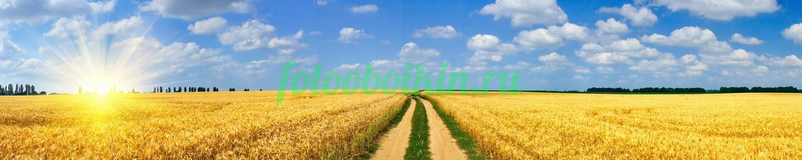 Фартук для кухни № 3549