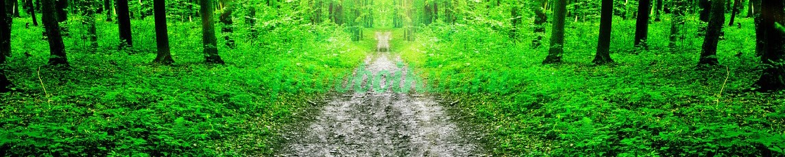 Фартук для кухни № 3550