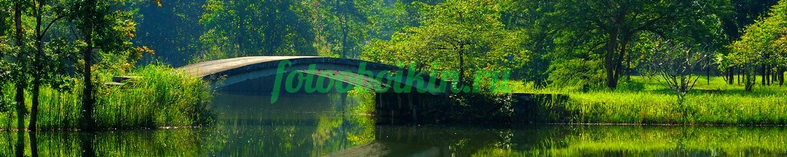 Фартук для кухни № 3551