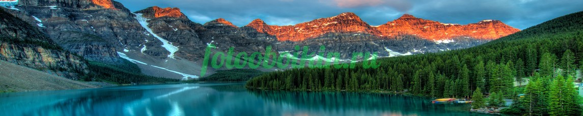 Фартук для кухни № 3571
