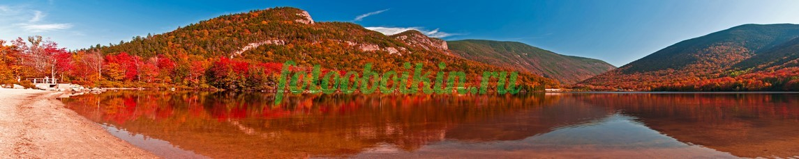 Фартук для кухни № 3572