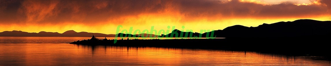 Фартук для кухни № 3573