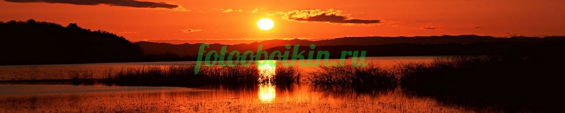 Фартук для кухни № 3574
