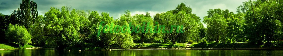 Фартук для кухни № 3576