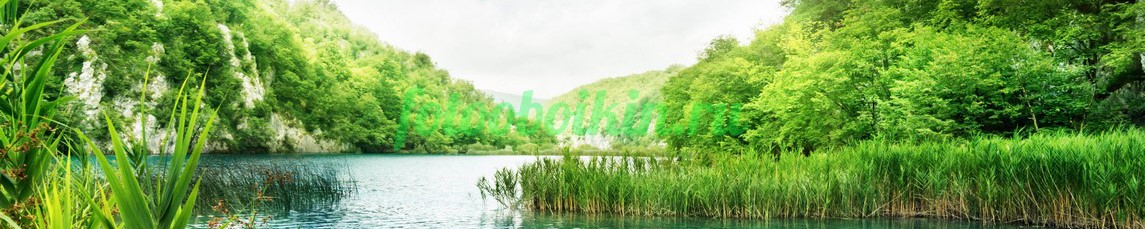 Фартук для кухни № 3577