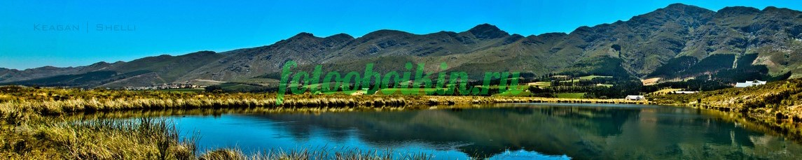 Фартук для кухни № 3578