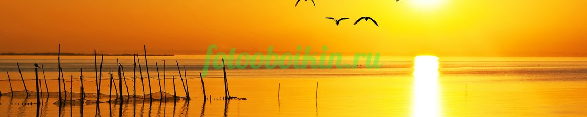 Фартук для кухни № 3579
