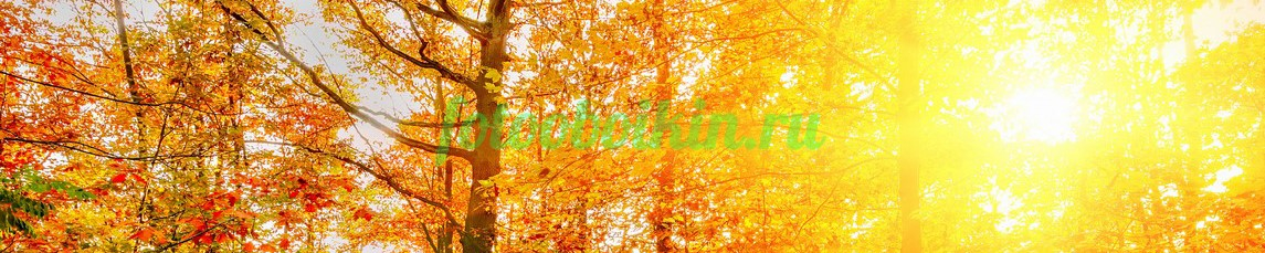 Фартук для кухни № 3584