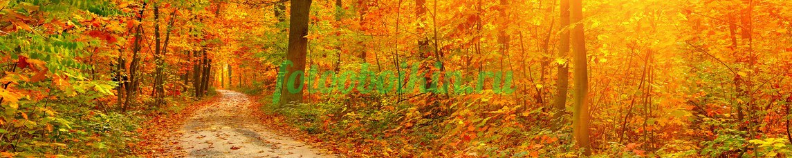 Фартук для кухни № 3592