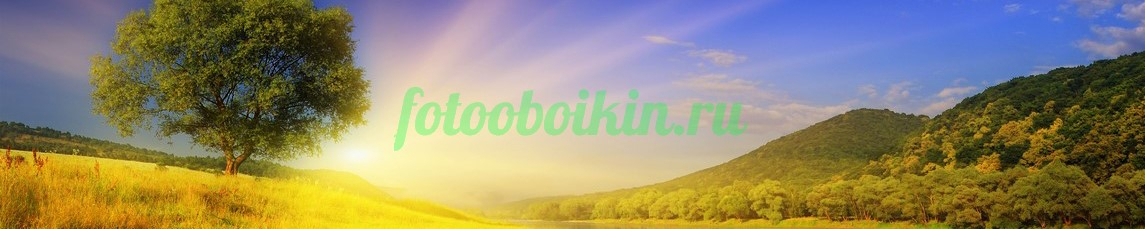 Фартук для кухни № 3593