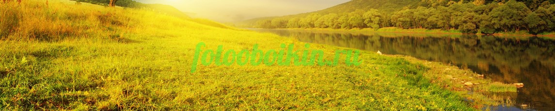 Фартук для кухни № 3594
