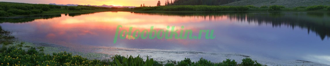 Фартук для кухни № 3595