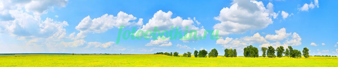 Фартук для кухни № 3596