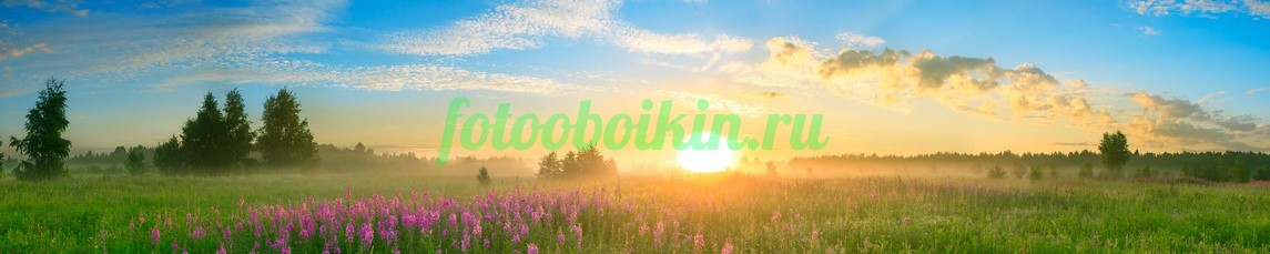 Фартук для кухни № 3597
