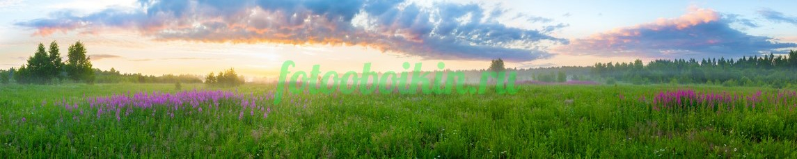 Фартук для кухни № 3598