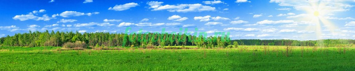 Фартук для кухни № 3602